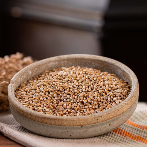 A bowl of wheat berries